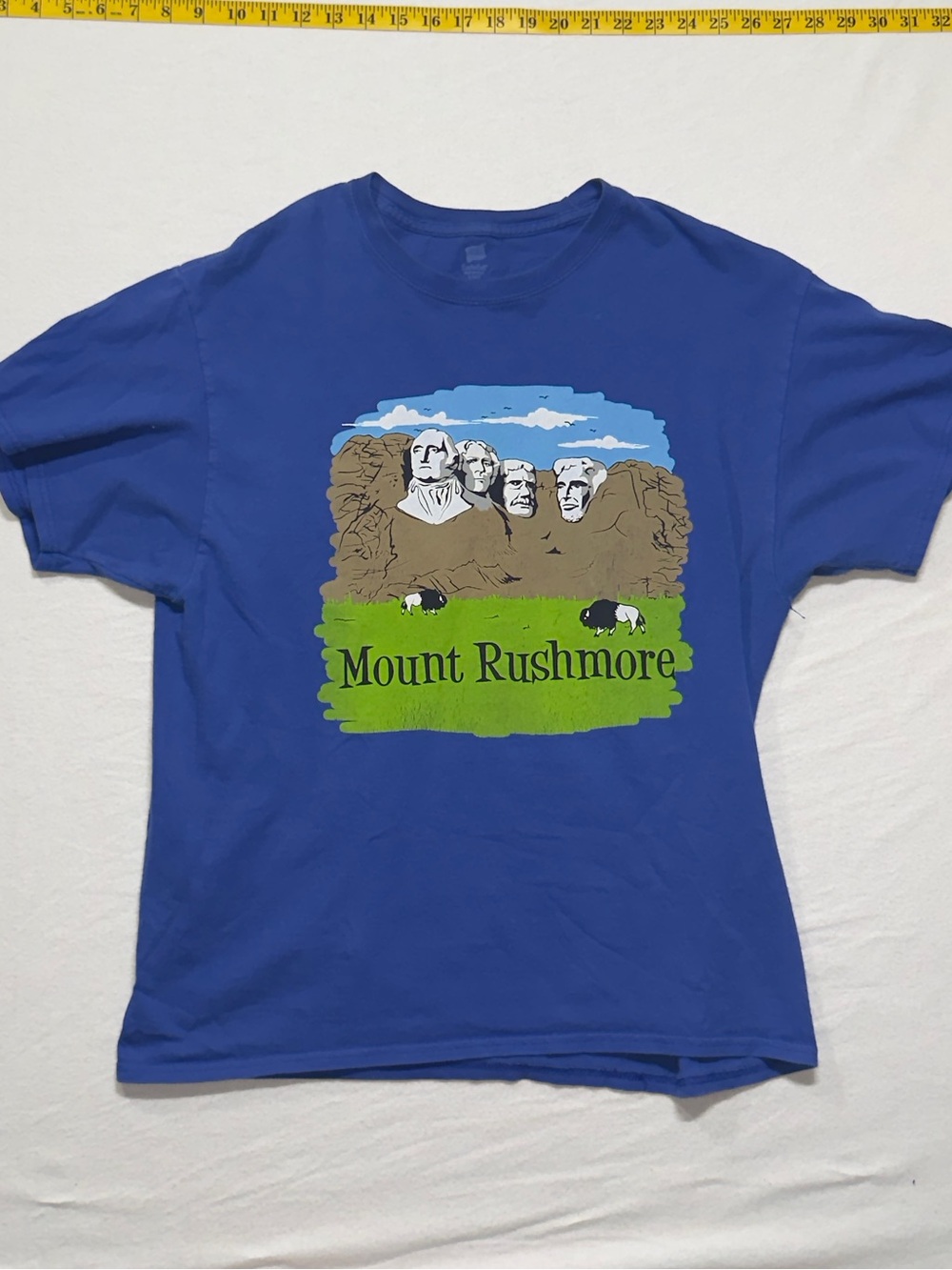 Mount Rushmore Graphic Tee - Blue Y2K humour graphic t shirt. Double sided.